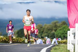 BIB: 
                            <button type="button" onclick="openModal(26543048)" class="btn btn-primary btn-sm float-right btn-popup" data-toggle="modal" data-target=".modal-high-quality">
                        <i class="fas fa-shopping-cart"></i> Add to Cart
                    </button>
                                            <button type="button" onclick="isThisMe(26543048, true)" class="btn btn-success btn-sm float-right btn-popup btn-isme hidden" data-toggle="tooltip" data-placement="bottom" title="นี่คือรูปของคุณใช่ไหม คลิกที่นี่เพื่อเอาเข้าอัลบั้ม">
                        <i class="fas fa-plus"></i> Add to album
                    </button>
                    <button type="button" onclick="isThisMe(26543048, false)" class="btn btn-warning btn-sm float-right btn-popup btn-isnotme hidden">
                        <i class="fas fa-ban"></i> Remove from album
                    </button>